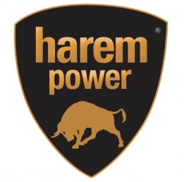 Harem Power