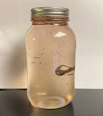 Delta-8 THC distilaat 1 liter 900.000mg