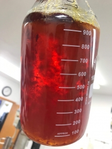 Full Spectrum CBD Distillate 96$ Max 0.3% THC